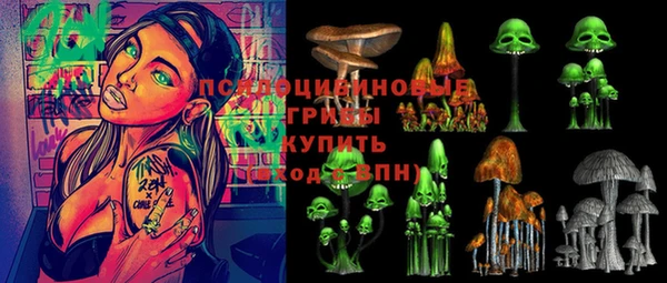 крисы Нея