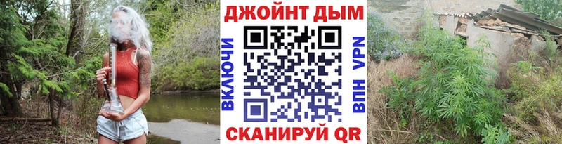 Шишки марихуана THC 21%  Купить закладки  Трубчевск 